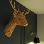 The Willow - Studio 29